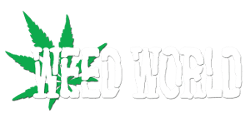 business logo of Weedworld.co.uk