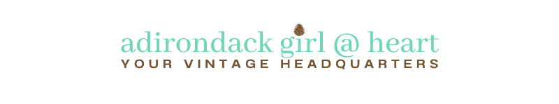 Adirondackgirlatheart
