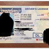 Dingo Fake Id Reviews