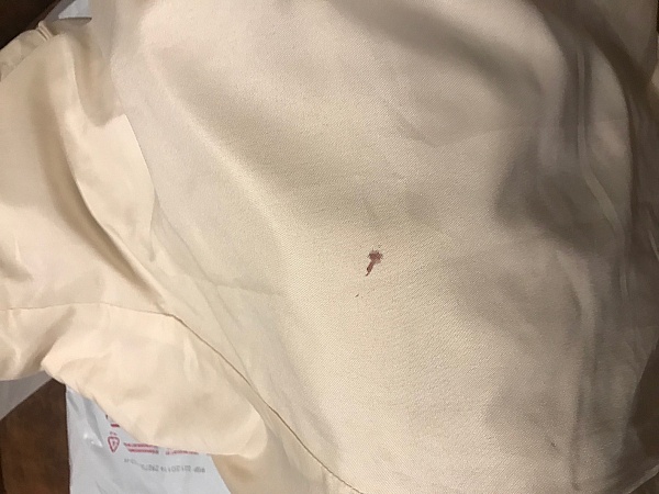 Glamlora International Co,.Limited product 0