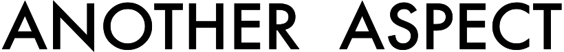 business logo of Another Aspect