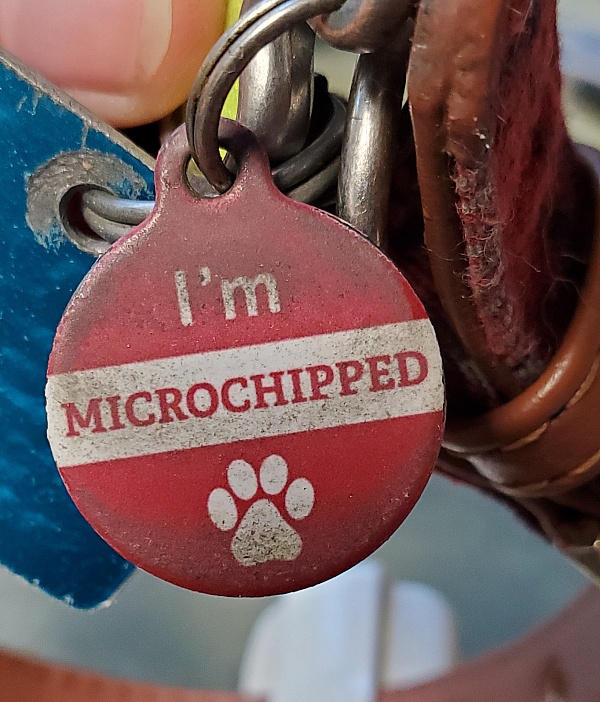 American Kennel Club (AKC) Reviews 69 Reviews of Sitejabber