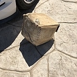 AmericanMuscle product 2