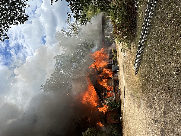 American Red Cross product 0