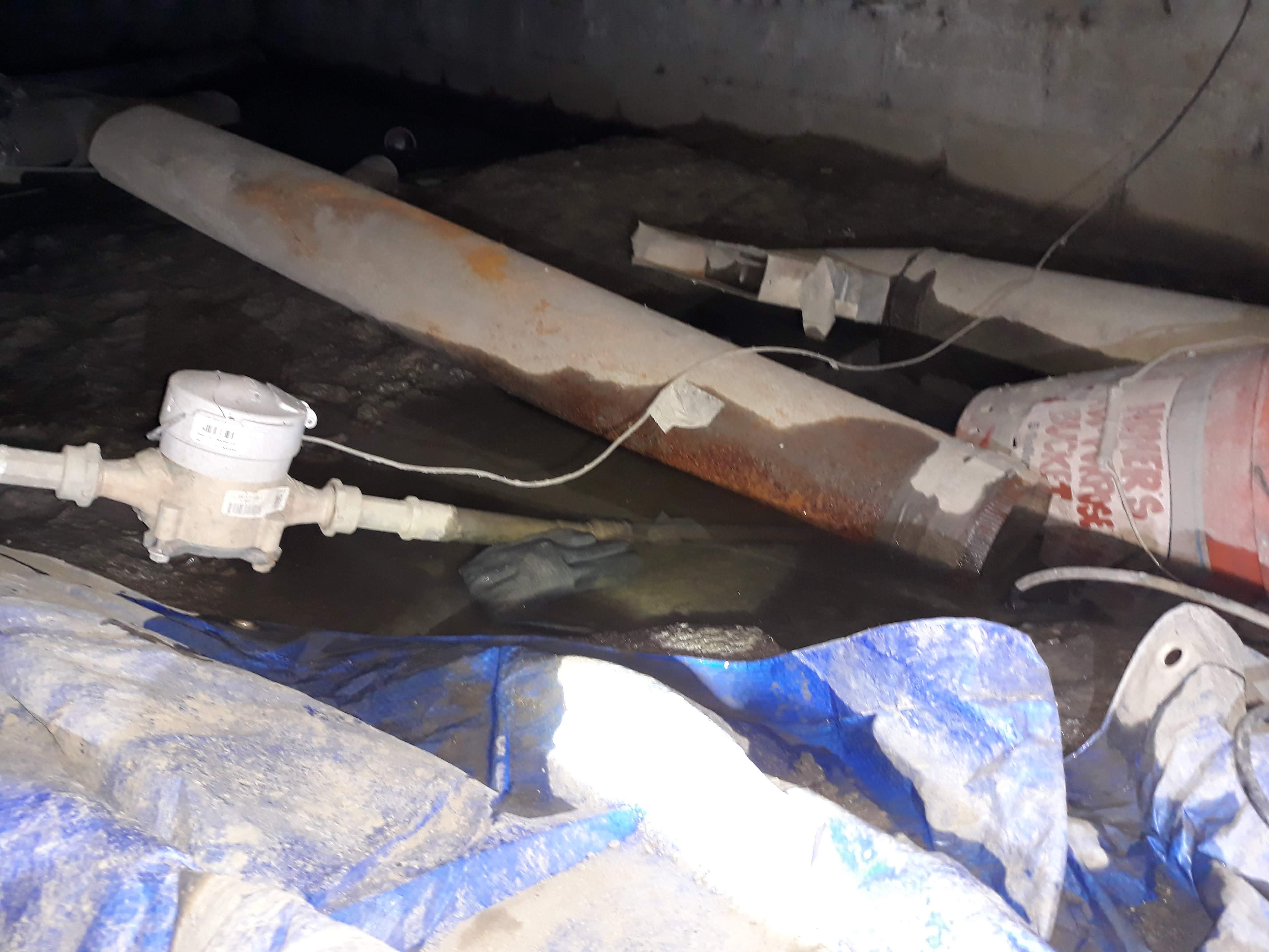  Mold Clean-Up After Disasters: Austin 