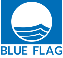 business logo of Blue Flag