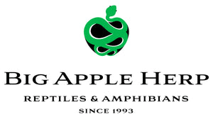 BigAppleHerp