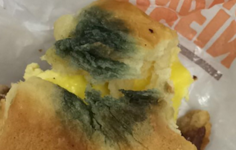 Burger King Reviews 301 Reviews of Sitejabber