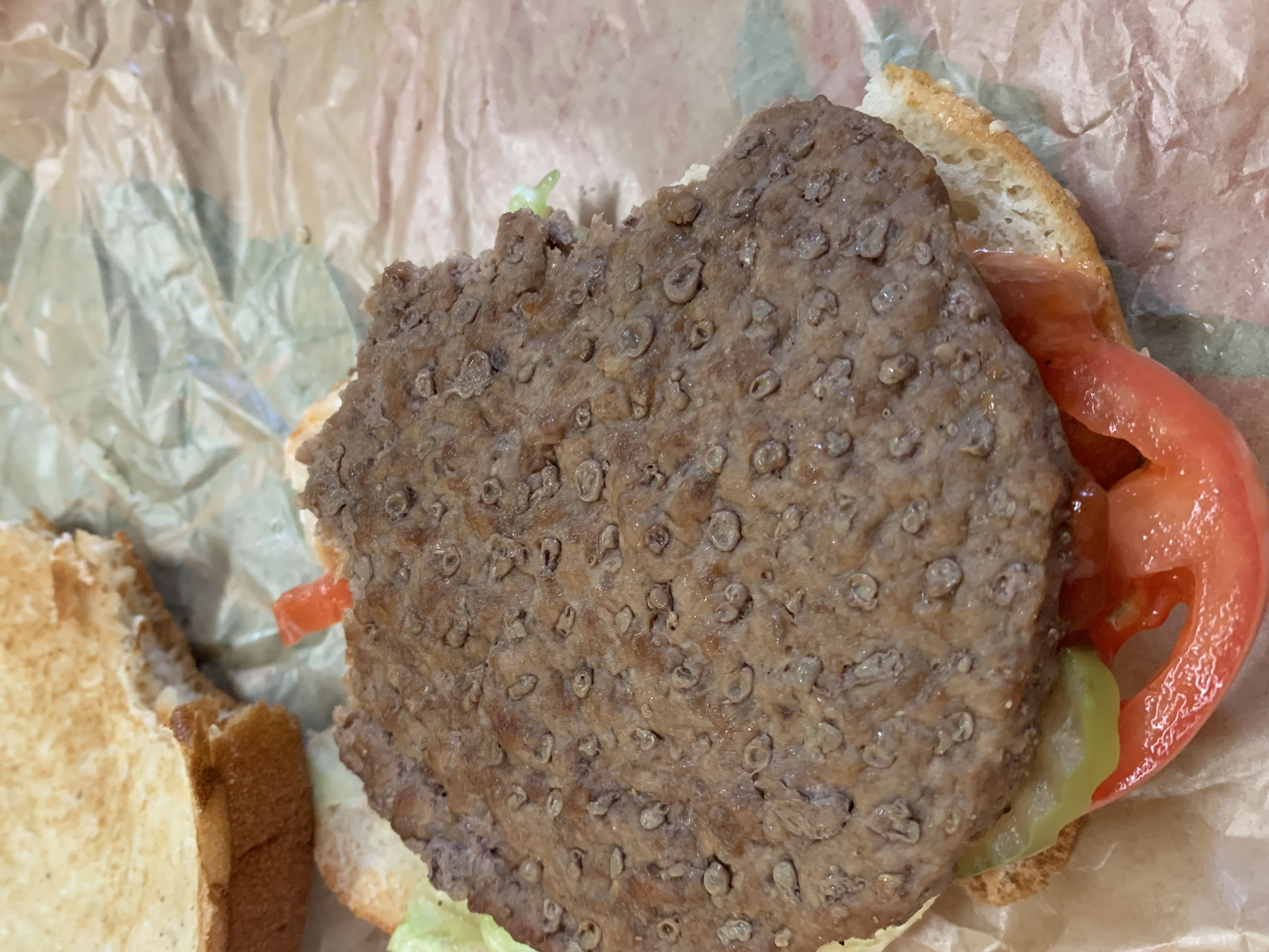 Burger King's Moldy Whopper and Go Back to Africa win Black