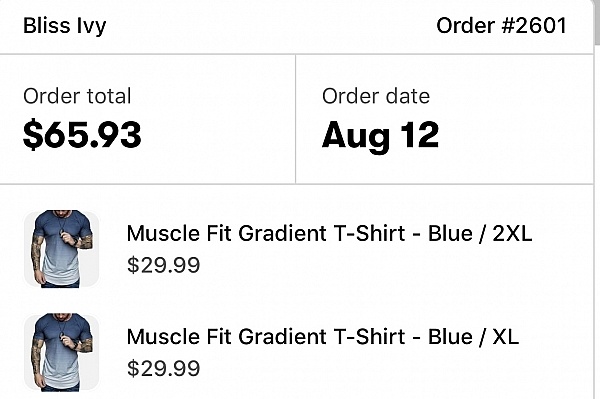 go bliss yeezy reviews