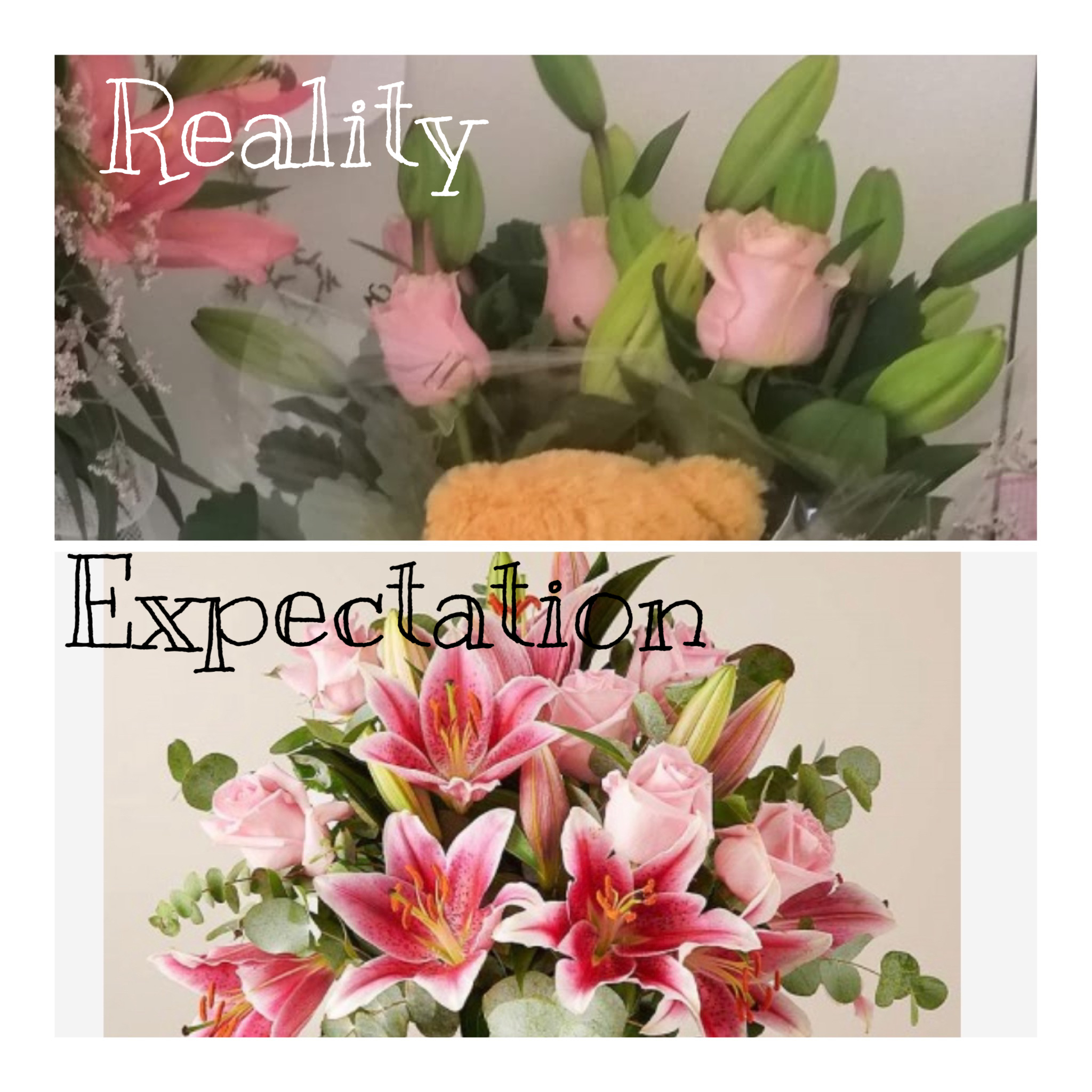 FloraQueen Reviews 587 Reviews of Sitejabber