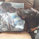 FineArtAmerica product 3