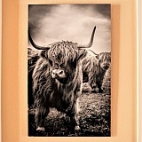 FineArtAmerica product 4