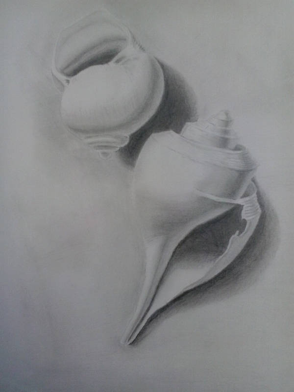 FineArtAmerica product 0