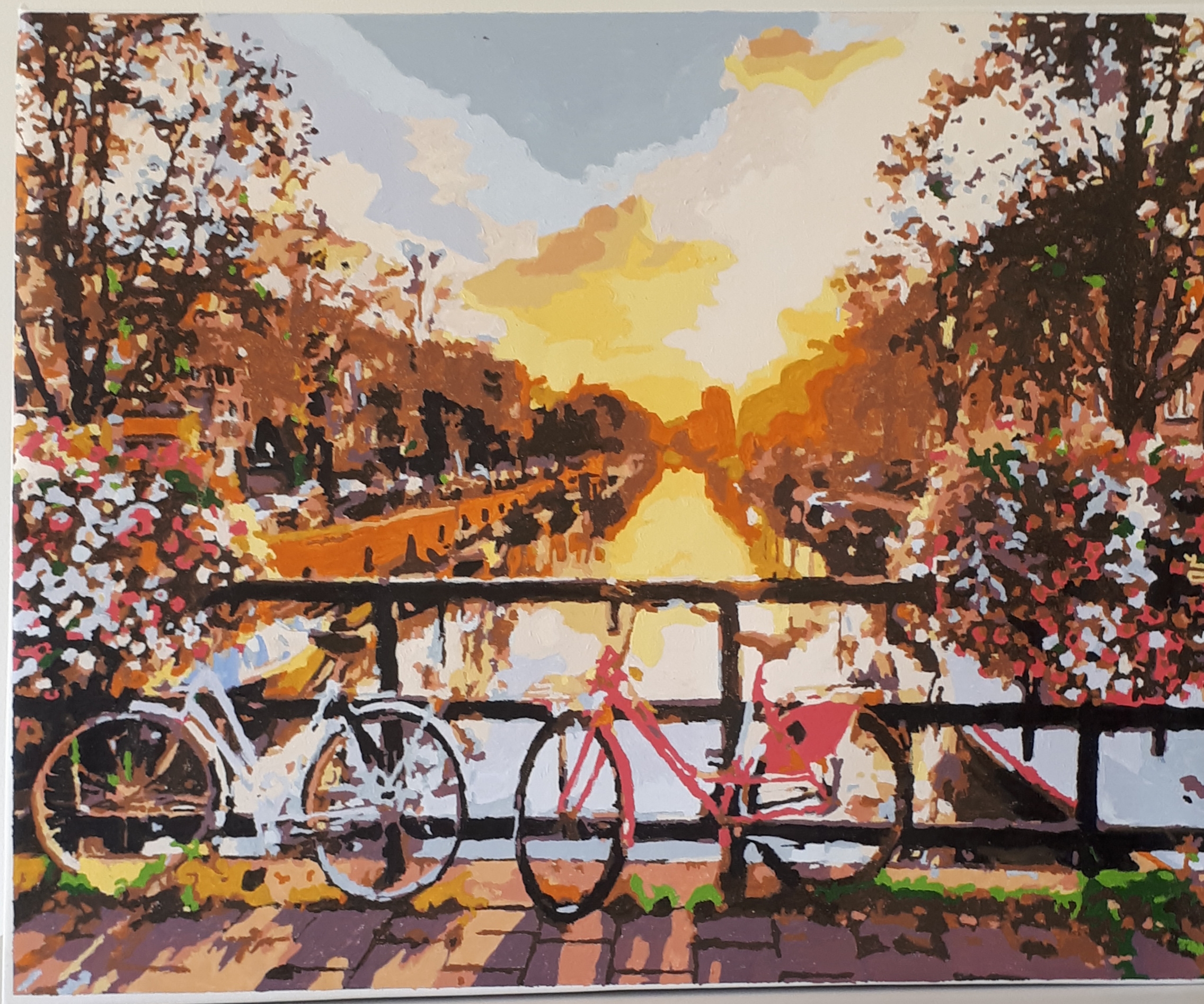 Paint Plot Reviews 311 Reviews of Sitejabber