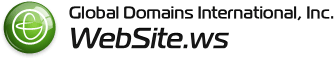 business logo of WebSite.ws