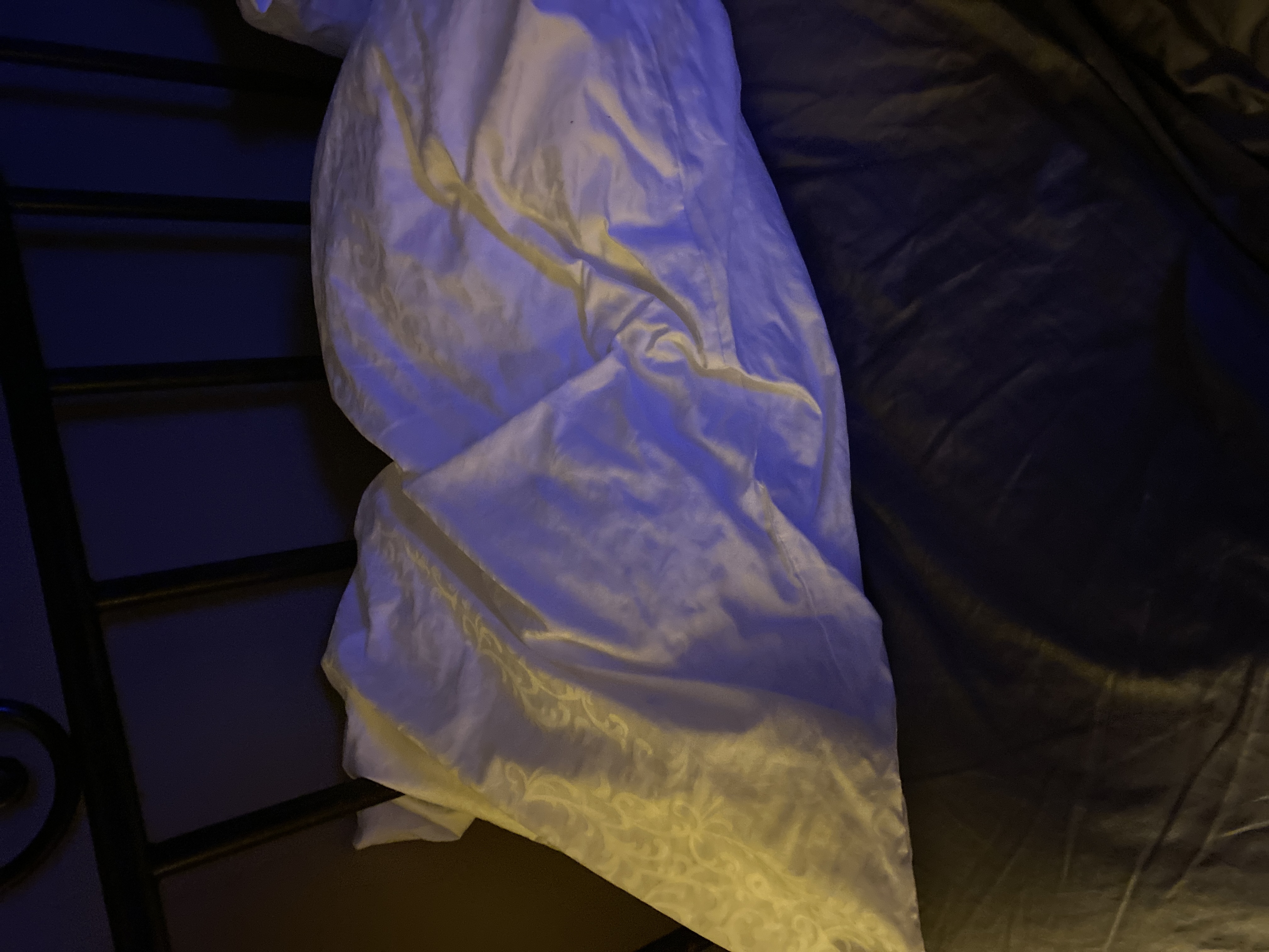 MyPillow Reviews 199 Reviews of Sitejabber