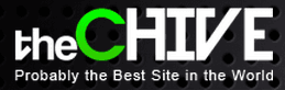 business logo of theCHIVE