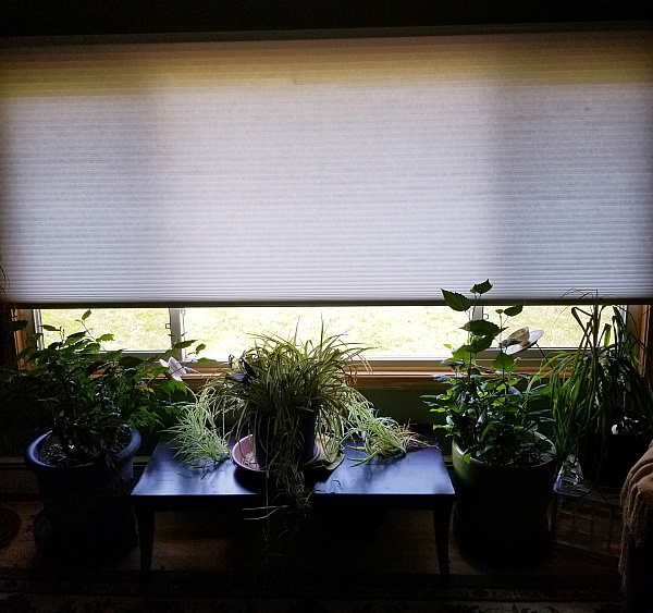 Blinds.com product 0