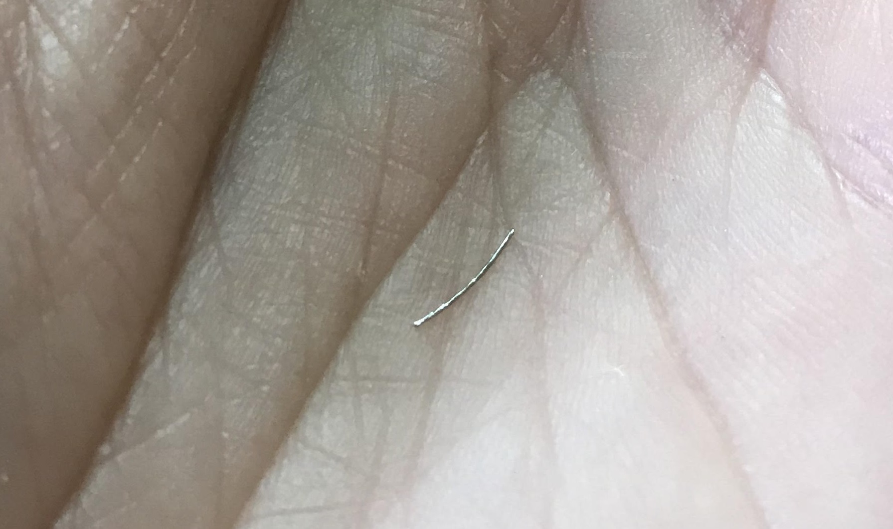 Rugs USA Reviews 170 Reviews of Sitejabber