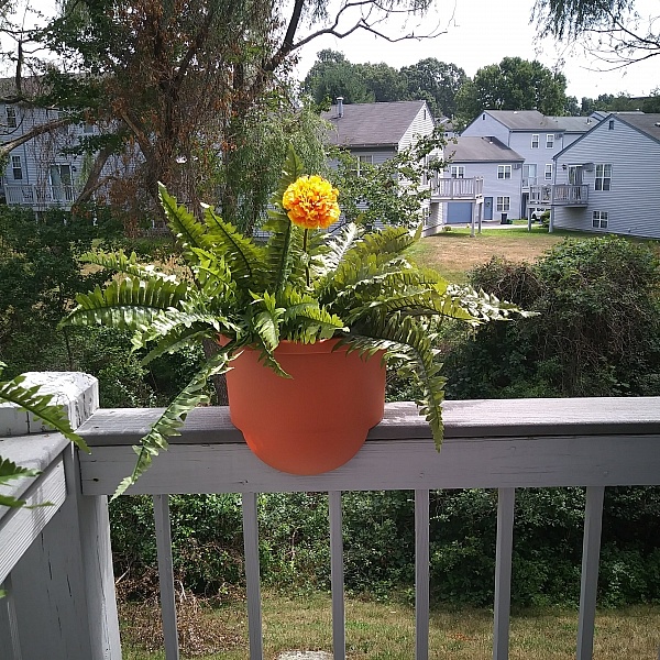 Gardener's Supply Company Reviews 129 Reviews of