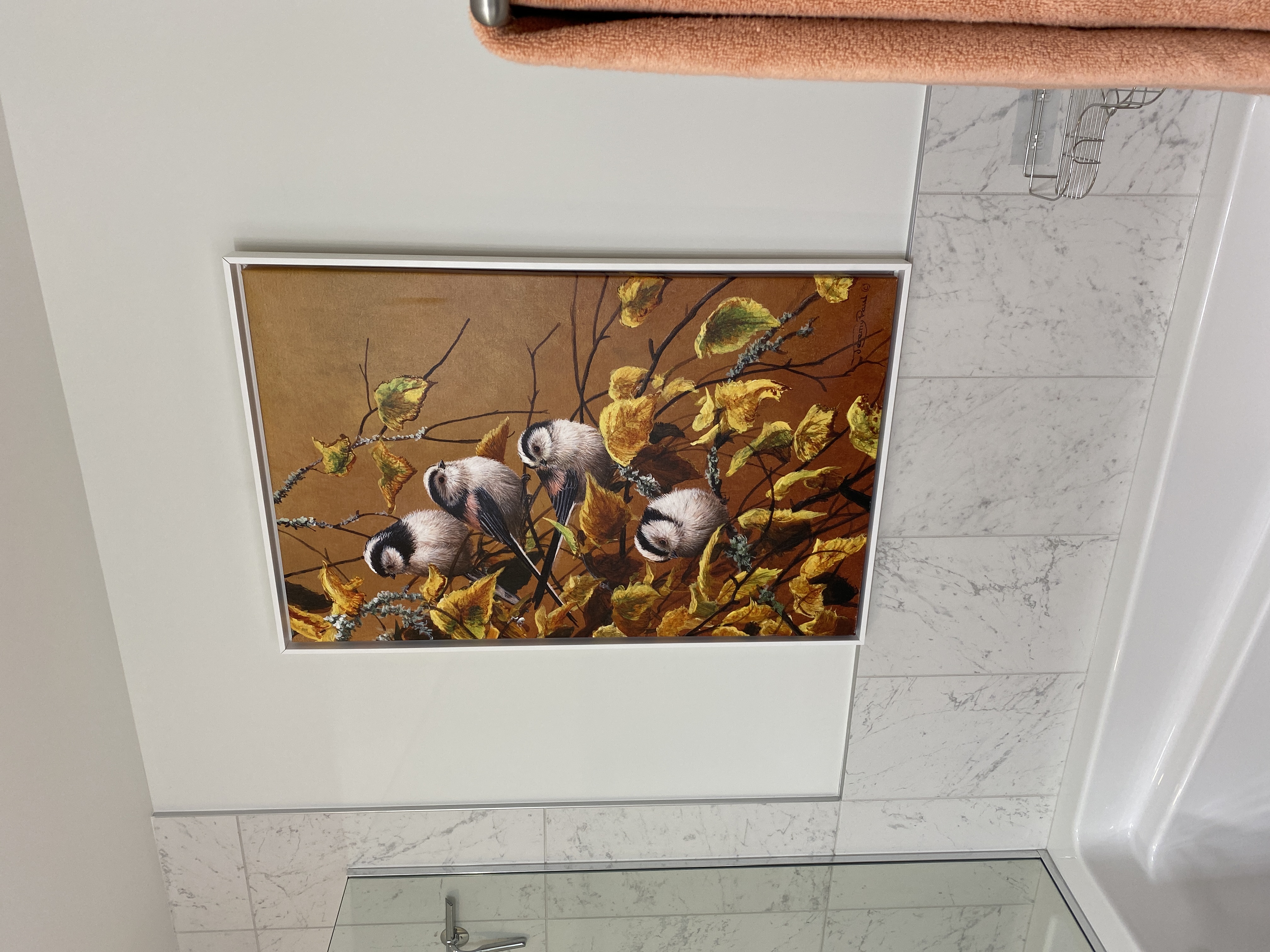 iCanvas Reviews 97 Reviews of Sitejabber