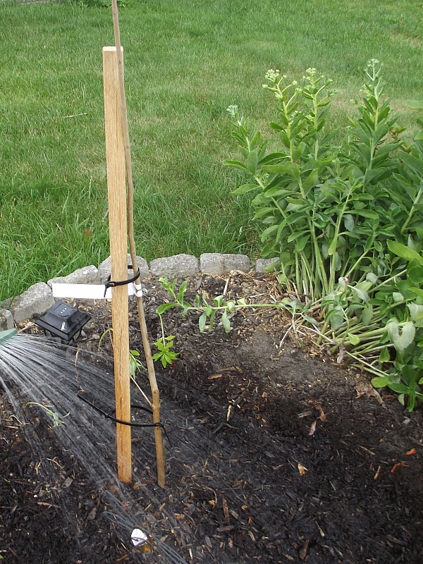 Ty Ty Nursery Reviews 7 Reviews of Sitejabber