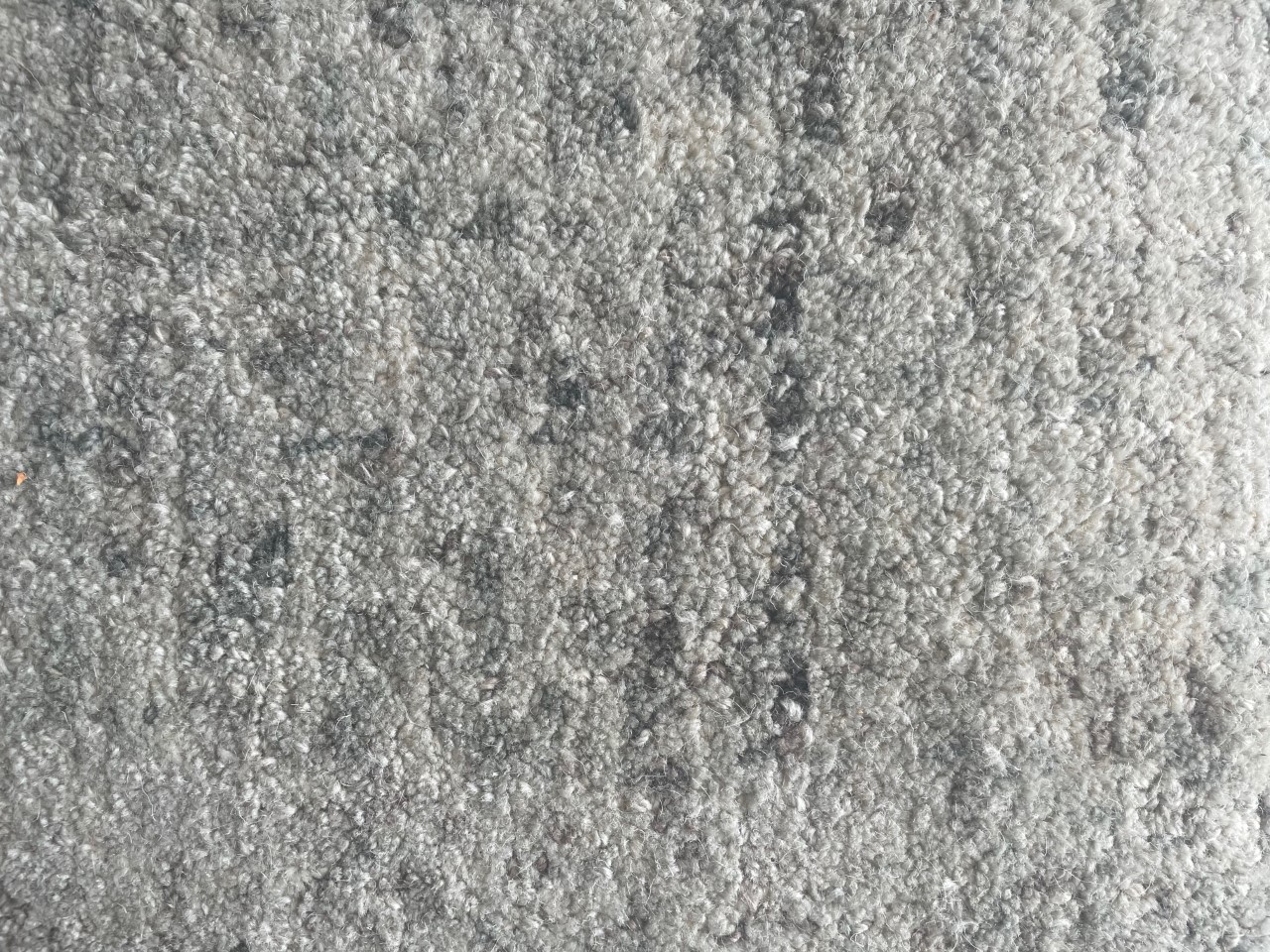 Rugs Direct Reviews 69 Reviews of Sitejabber