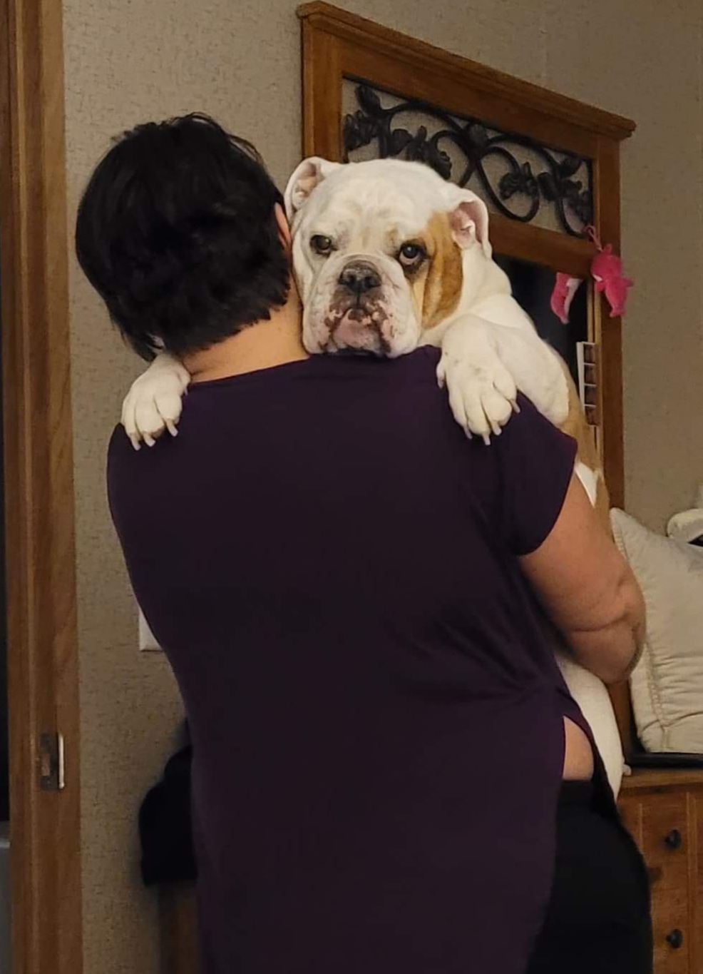 Lancaster Puppies Reviews 14 Reviews of Sitejabber