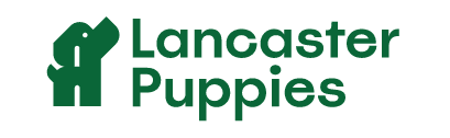 Lancaster Puppies