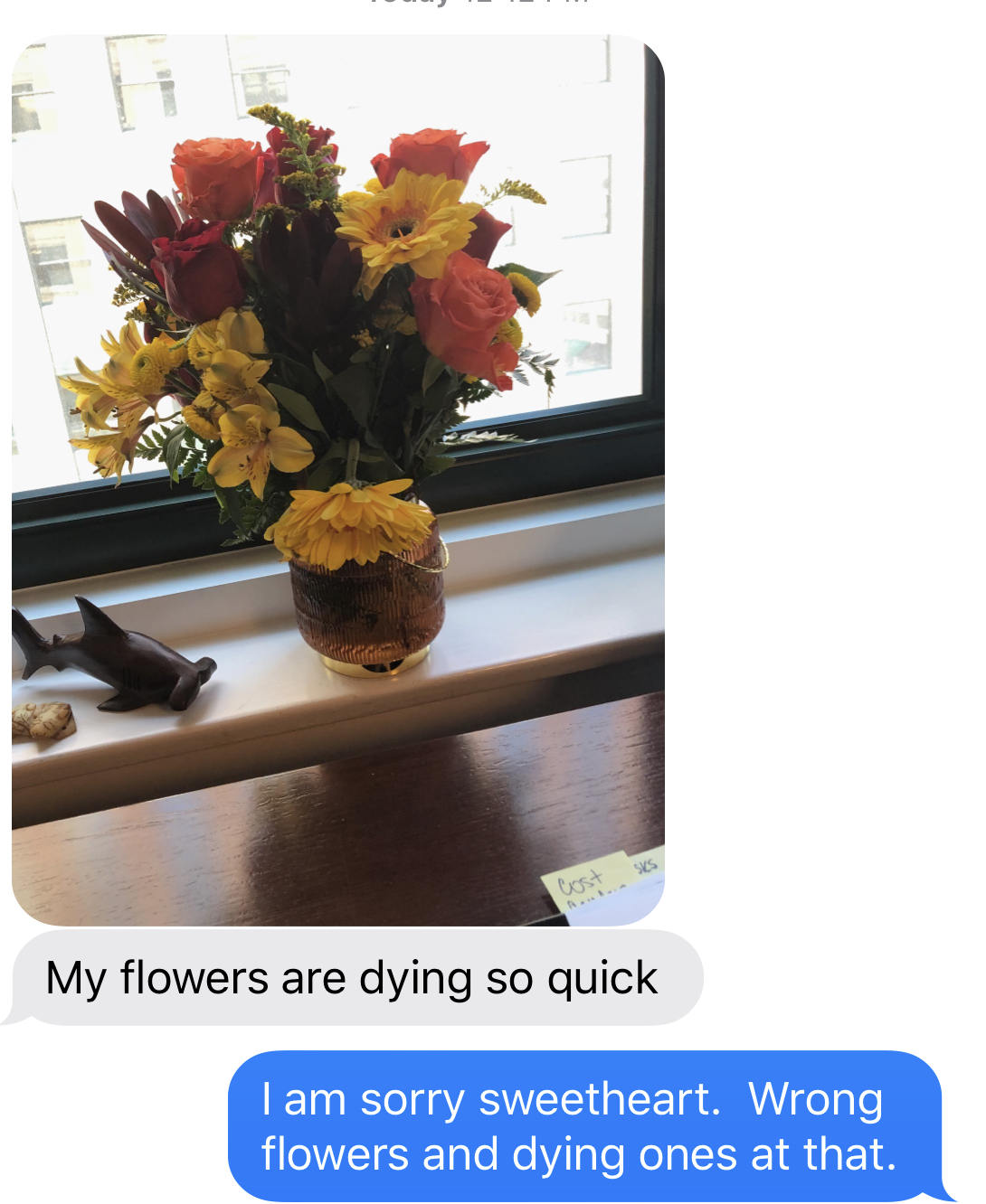 Reviews 5,446 Reviews of Sitejabber