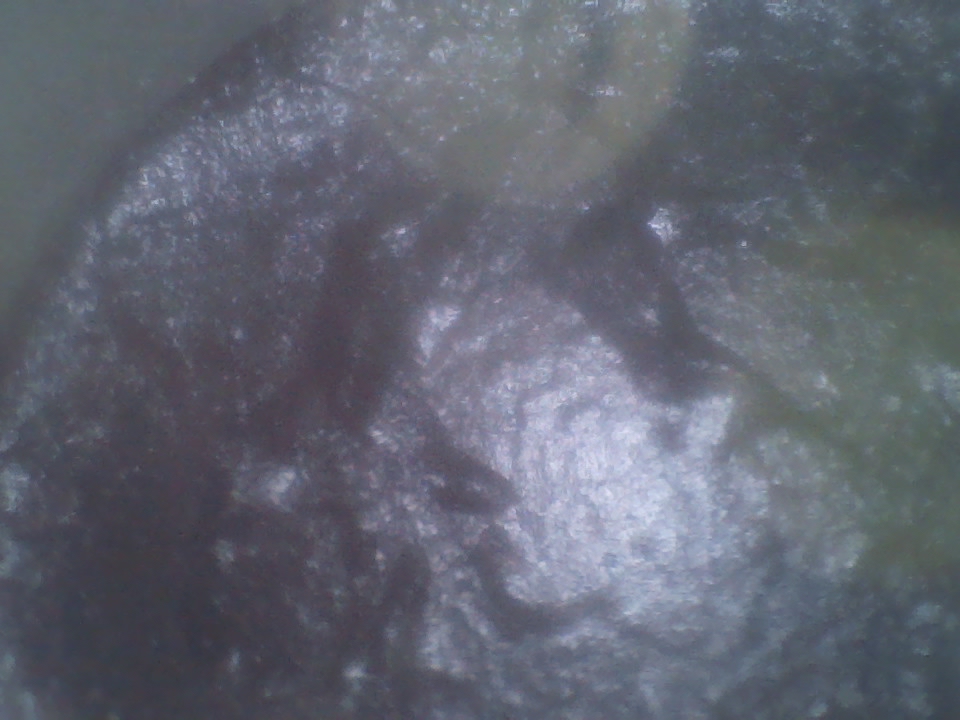 SWEngines Reviews 112 Reviews of Sitejabber