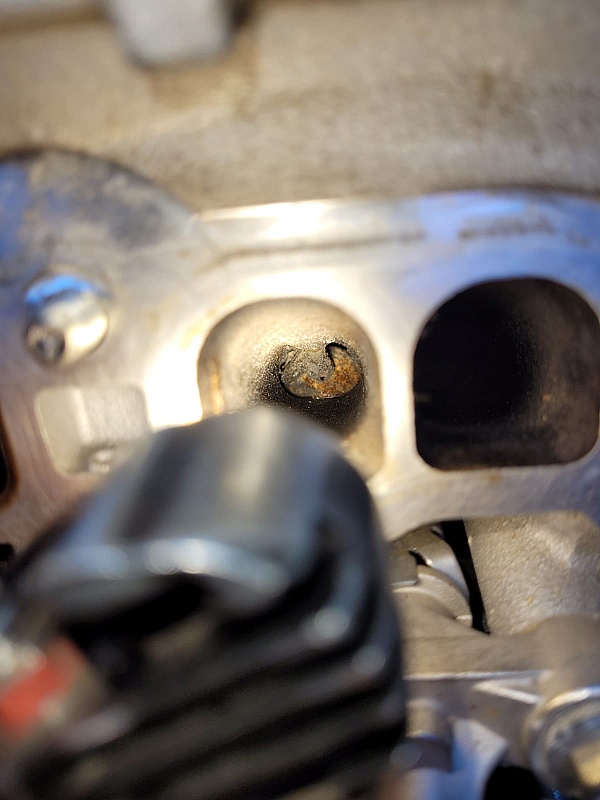 SWEngines Reviews 85 Reviews of Sitejabber