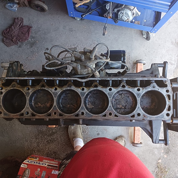 SWEngines Reviews 112 Reviews of Sitejabber