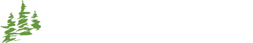 business logo of NatureScapes