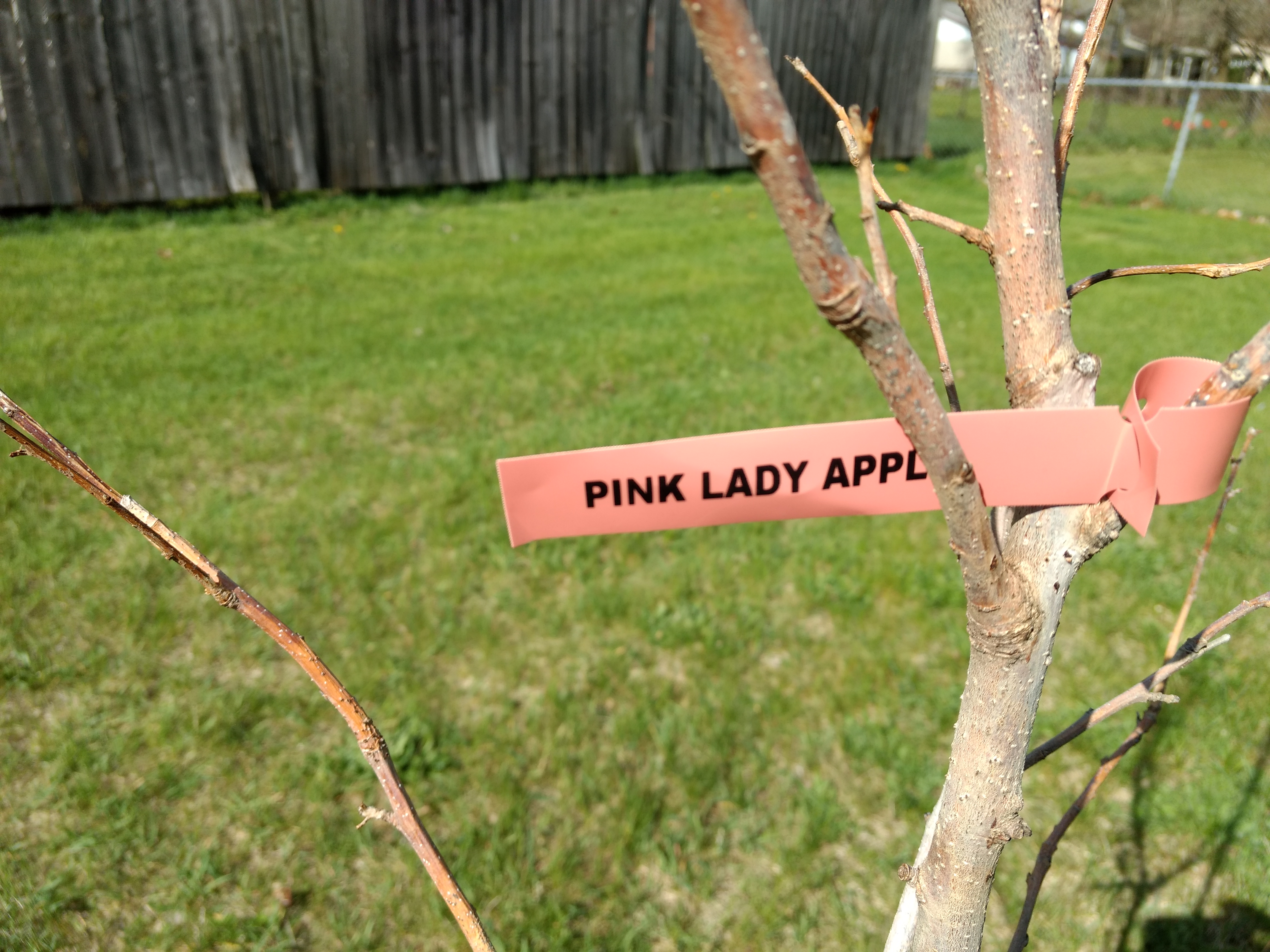 Nature Hills Nursery Reviews 312 Reviews of Sitejabber