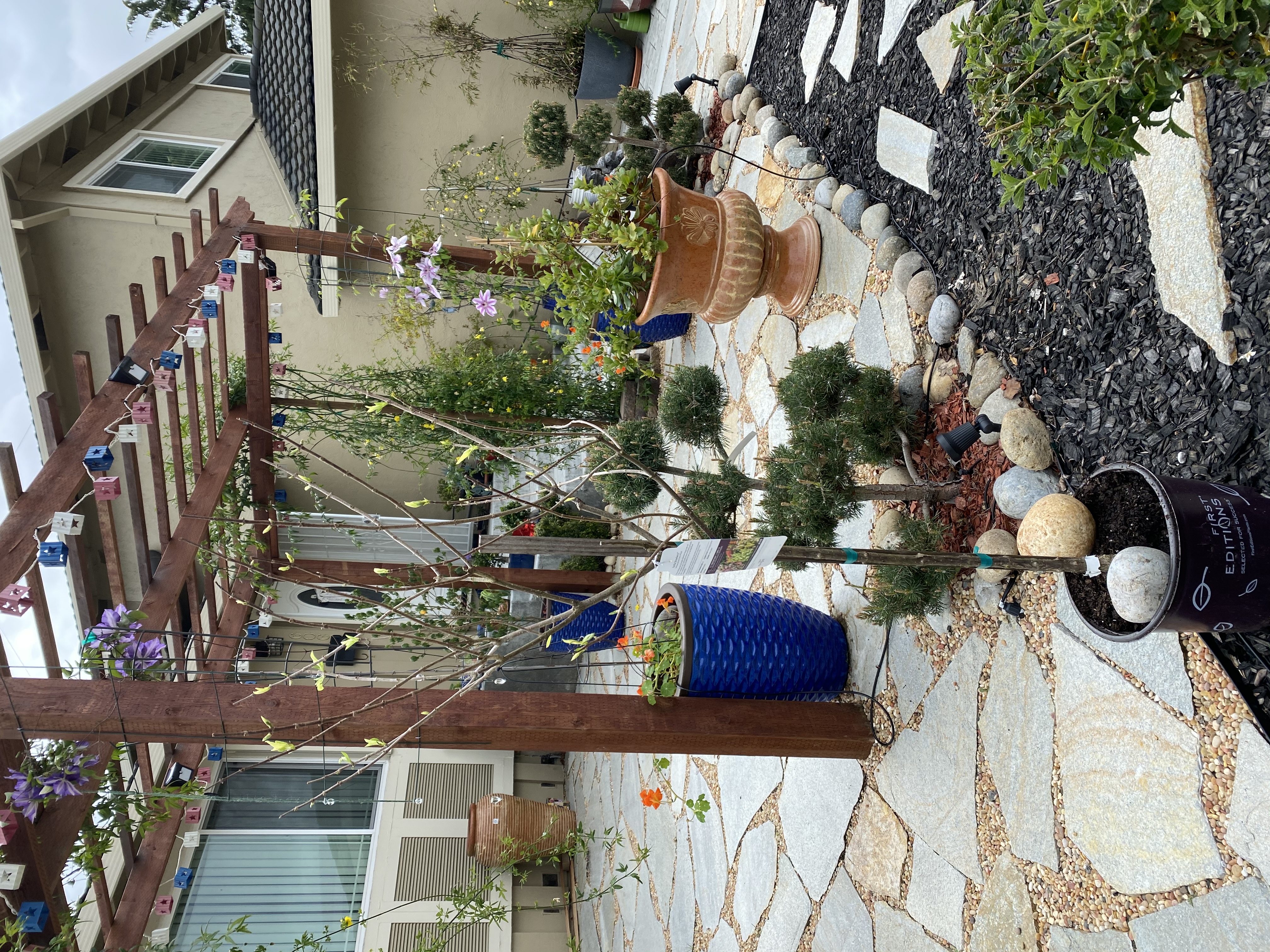 Nature Hills Nursery Reviews 109 Reviews of Sitejabber