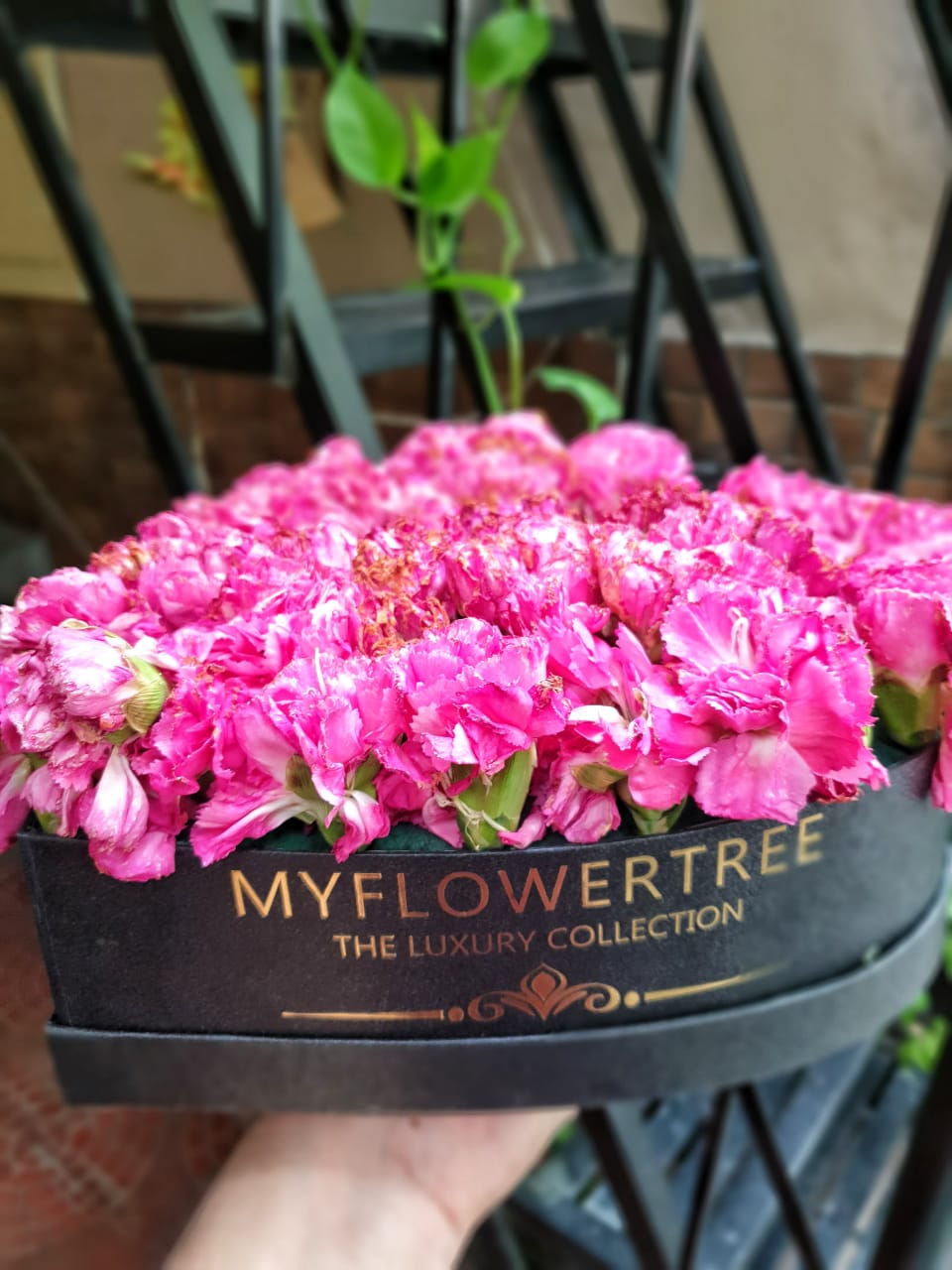 MyFlowerTree Reviews 1,078 Reviews of Sitejabber