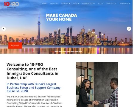 website thubmnail of 10-pro.ca