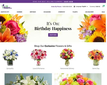 website thubmnail of 1800Flowers.ca
