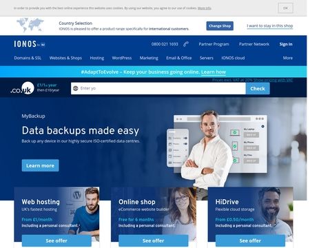 website thubmnail of IONOS by 1 & 1