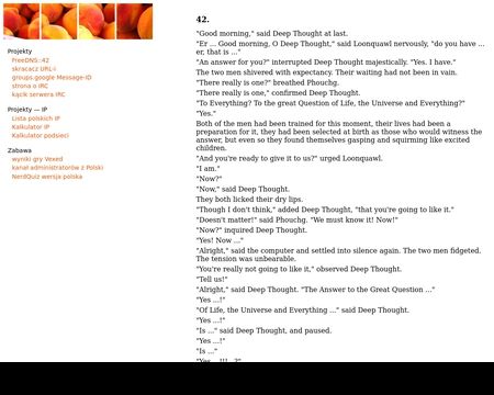 website thubmnail of 42.pl