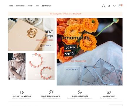 website thubmnail of 599Fashions