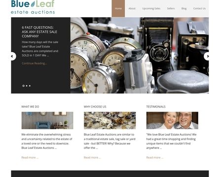 website thubmnail of 602blue