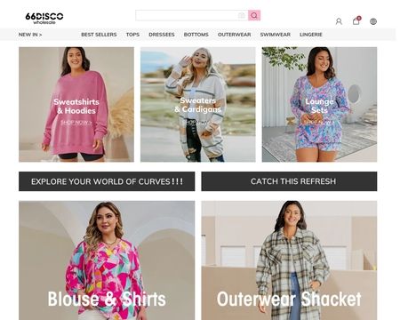 website thubmnail of 66DISCO Wholesale