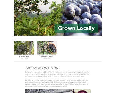 website thubmnail of Acai Palm Seeds
