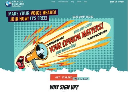 website thubmnail of American Consumer Opinion