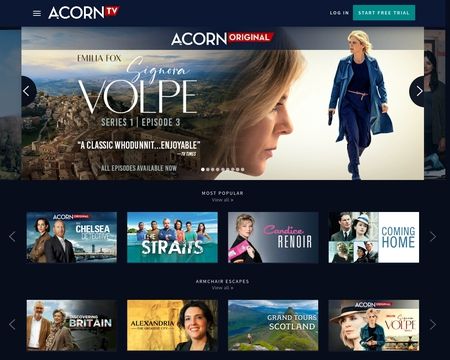 acorn shows on netflix