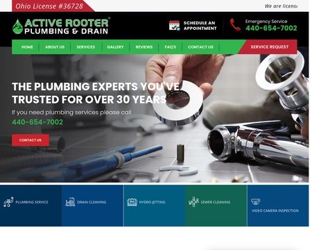 website thubmnail of Activerooterplumbingdraincleaning