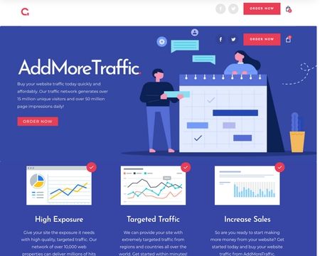 website thubmnail of MoreTraffic